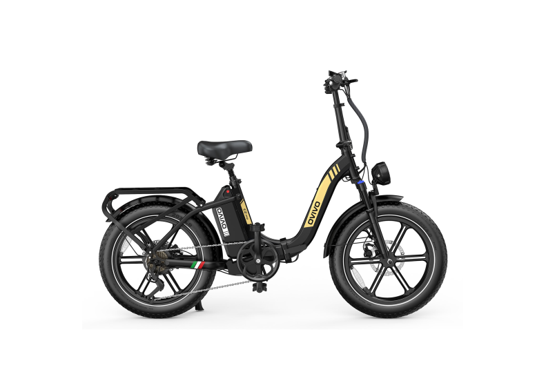 Rower elektryczny OVIVO C2 Pro  (250W, 48V, 18 Ah)