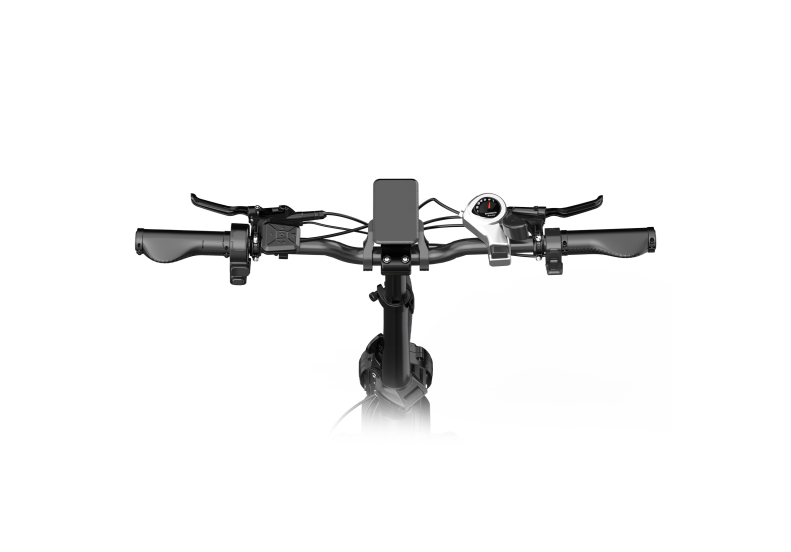 Rower elektryczny OVIVO C2 Pro  (250W, 48V, 18 Ah)