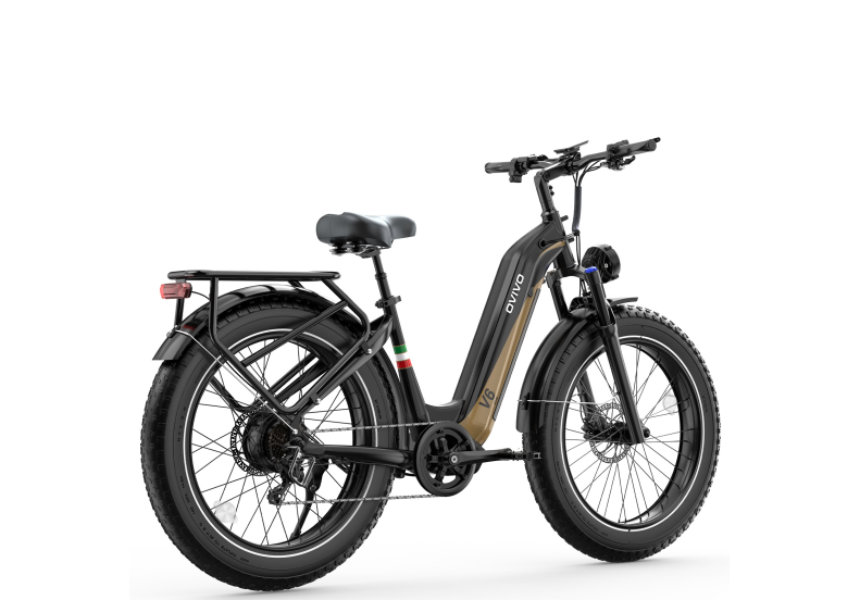 Rower elektryczny OVIVO V6 PRO  (750W, 48V, 20 Ah)