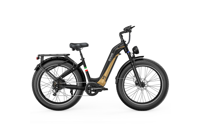Rower elektryczny OVIVO V6 PRO  (750W, 48V, 20 Ah)