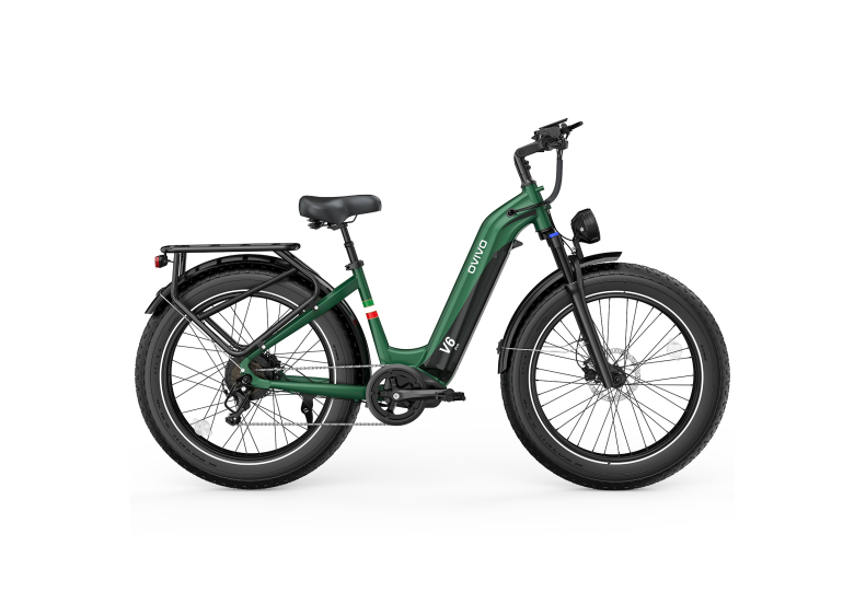 Rower elektryczny OVIVO V6 PRO  (750W, 48V, 20 Ah)