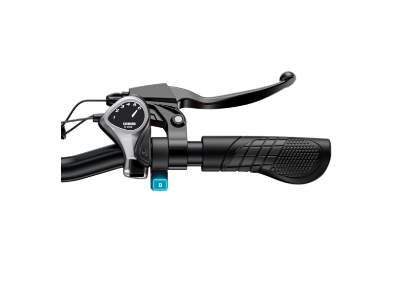 Rower elektryczny ENGWE EP-2 Boost (250W, 48V, 13Ah)