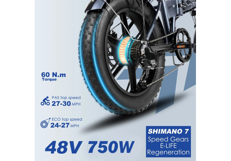 Rower elektryczny ENGWE EP-2 PRO (750W, 48V, 13Ah)